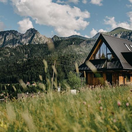 Sywarne Chalet Kościelisko Zewnętrze zdjęcie