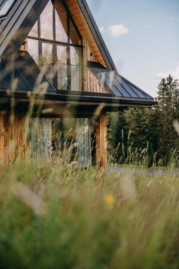 Sywarne Chalet Kościelisko Zewnętrze zdjęcie