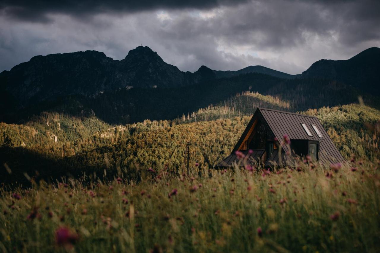 Sywarne Chalet Kościelisko Zewnętrze zdjęcie